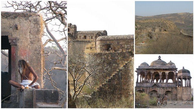 Images of Hammira's fortress of Ranthambore, south eastern Rajasthan.