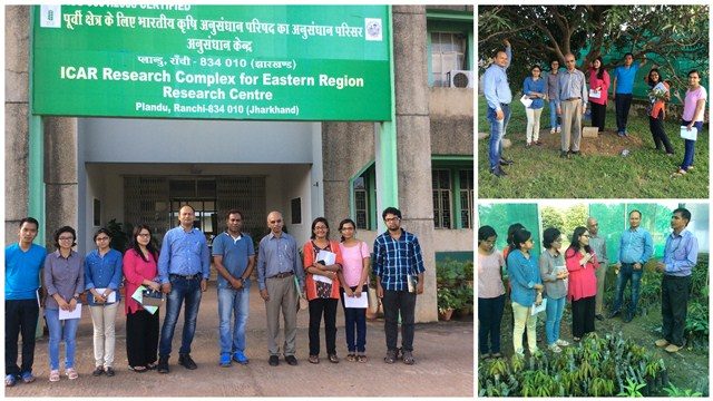 SEES Field trip to Ranchi: Students gain insights on Agroforestry Systems at BAU and ICAR RC ER