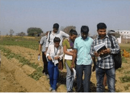 SEES Field Trip to Biharsharif: Understanding the effects of Urbanisation  on Urban Agriculture