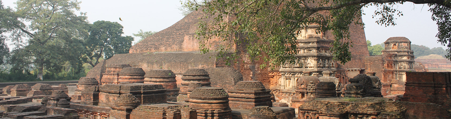 Nalanda University SHS Projects Nalanda University